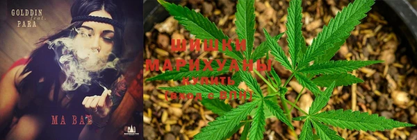 spice Осташков